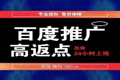 某品牌通过百度广告实现快速增长的案例